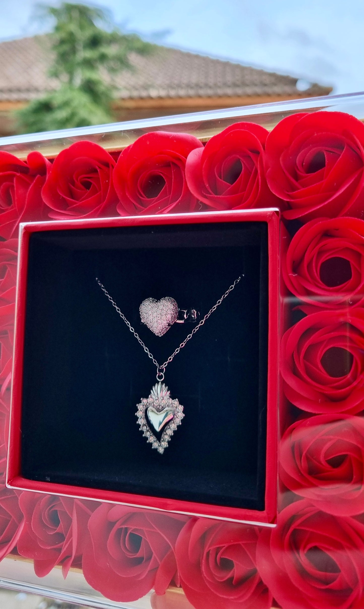 Box Rose