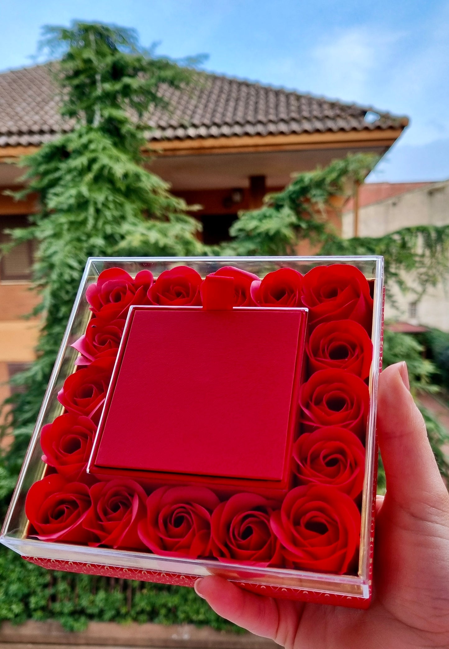 Box Rose