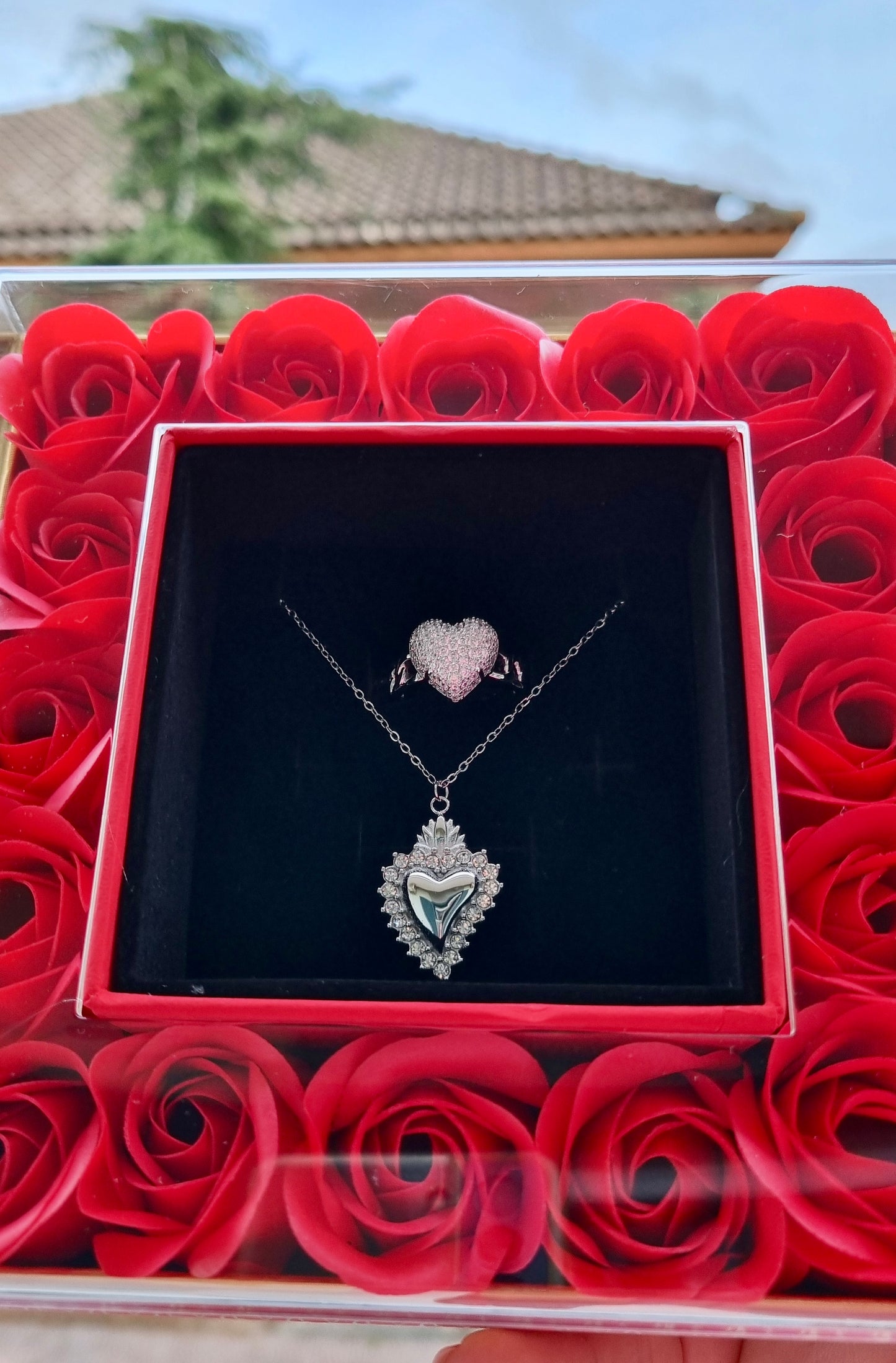 Box Rose