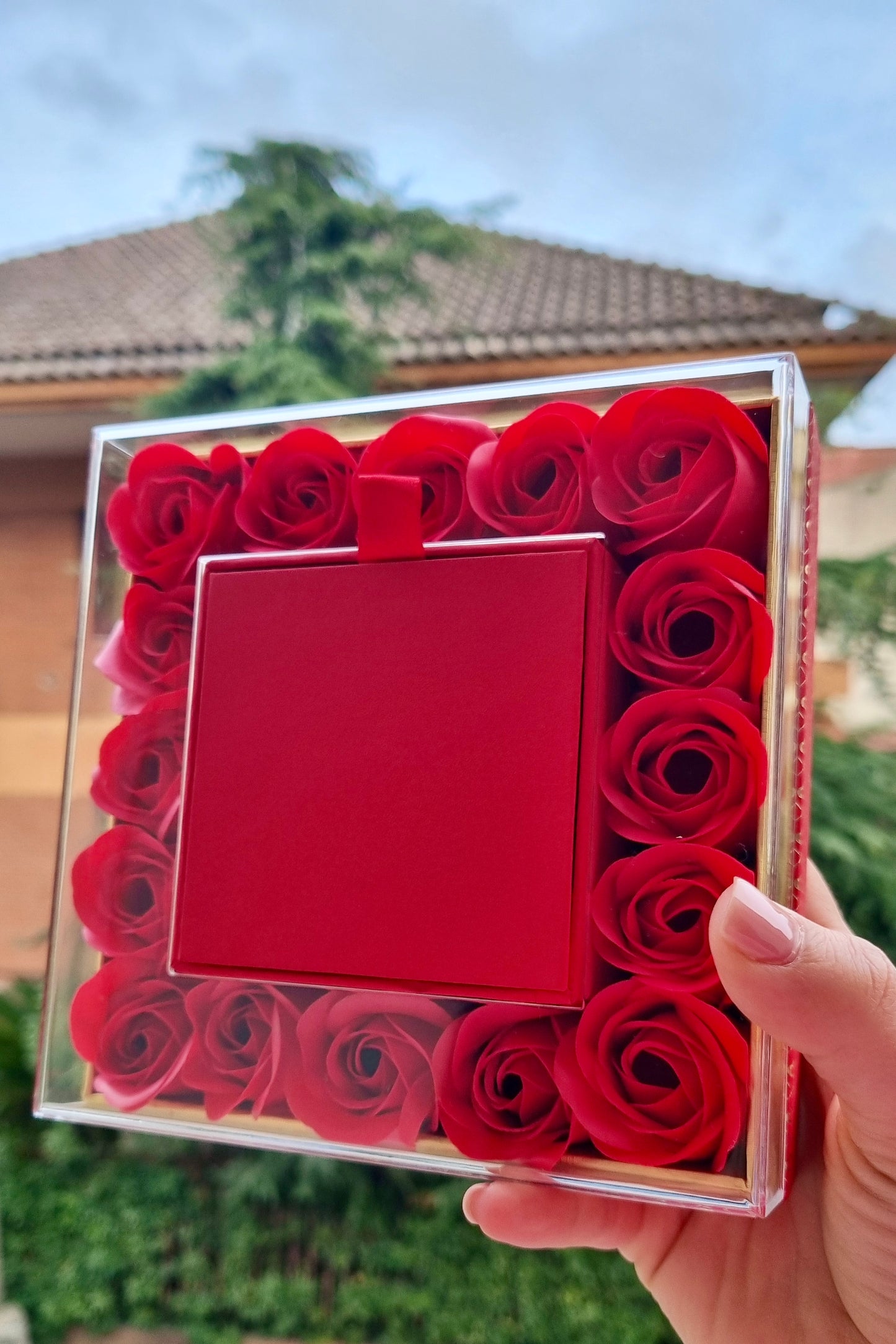 Box Rose