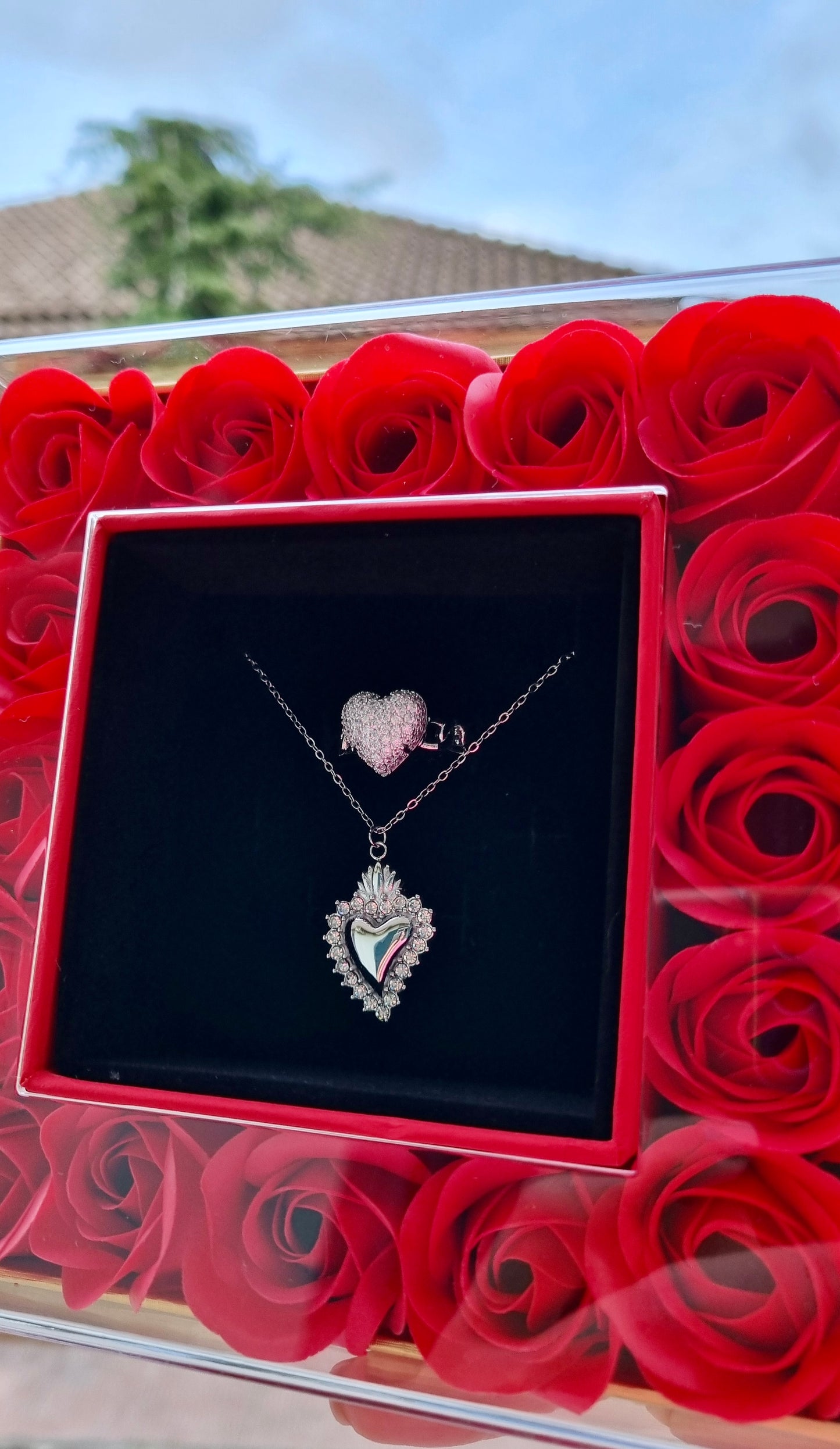 Box Rose